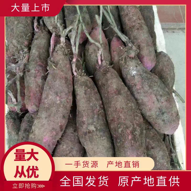 正宗赣南安远新鲜紫山药农家脚板薯淮山毛薯大薯种块5斤10包邮