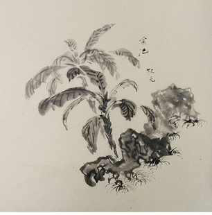 画芭蕉树 金池 示范 秋元 罗罗德信堂文房 一