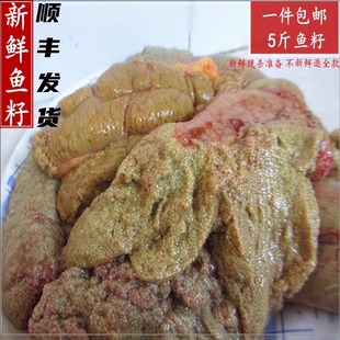 新鲜鱼籽 现杀鲜鱼籽 纯鲤鱼籽 微山湖鱼卵鱼蛋鱼子 鱼泡鱼鲫鱼籽