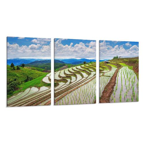 清迈梯田湄占县稻田泰国房间背景墙帆布无框画三联组合装饰挂画