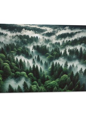 森林阳光透过树木早晨绿色自然房间卧室背景墙帆布无框画装饰挂画