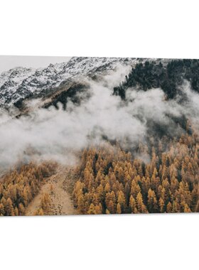 森林薄雾自然风景乡村树木客厅卧室房间背景墙帆布无框画装饰挂画