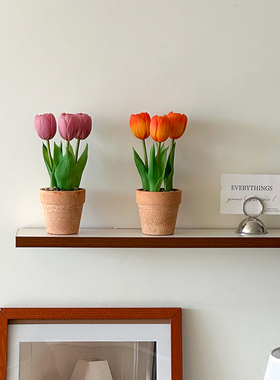 ins拍照道具仿真郁金香盆栽仿真花假花摆设高级感装饰摆件韩系