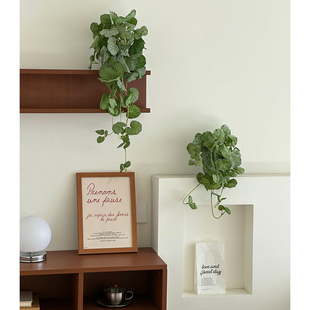 逼真仿真植物盆景高级感拍照道具墙面装饰垂挂藤蔓装饰摆件绿植