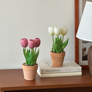 郁金香小盆栽仿真花家居装 饰摆件ins咖啡店氛围艺术绿植拍照道具