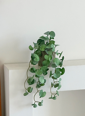客厅轻奢仿真绿植高级仿真装饰摆件假铜钱草植物盆景壁挂墙面垂吊
