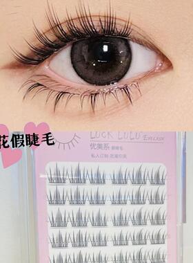 自然分段仿真单簇新手眼睫毛LUCK