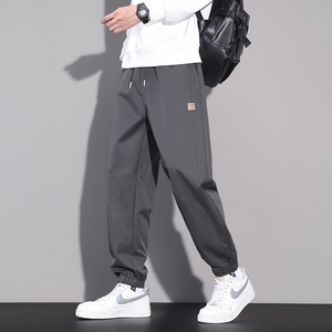 休闲裤男秋季百搭宽松束脚长裤2025新款松紧腰哈伦裤子N6802-P45图片