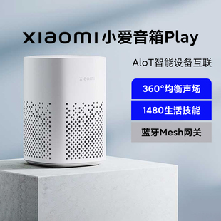 小米小爱音箱Play家用儿童启蒙教育mesh网关红外遥控桌面闹钟音响