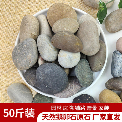 50斤鹅卵石铺路铺地庭院花园造景天然大小石头雨花石原石鹅软暖石
