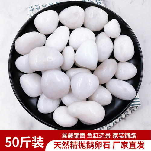 白色鹅卵石天然石头庭院造景石子