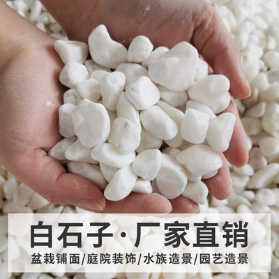 白色造景花盆铺面枯山水小石子