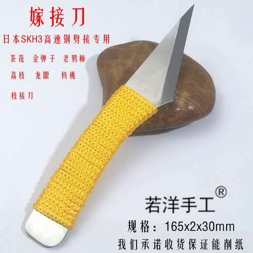 若洋手工劈接刀大树换头茶花