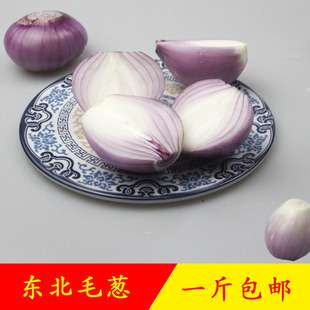 新鲜东北大毛葱1斤包邮大毛苯毛葱红葱头鬼子葱手工挑黑龙江