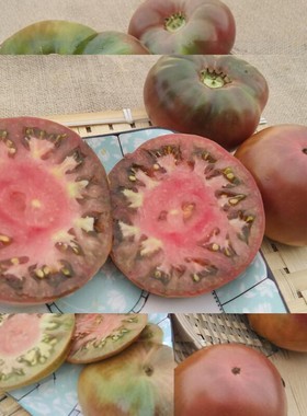 传家宝可留种紫色切诺基黑番茄四季春播西红柿苗蔬菜种子孑籽菜苗