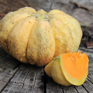 传家宝普林斯特香巧克力甜瓜西瓜南瓜四季春播蔬菜水果种子籽秧苗