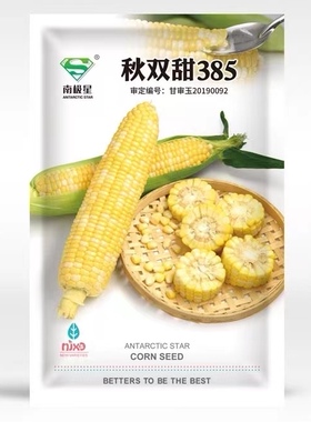 秋双甜385双色甜玉米种籽甜糯水果种子四季超甜粘农家糯春季夏种