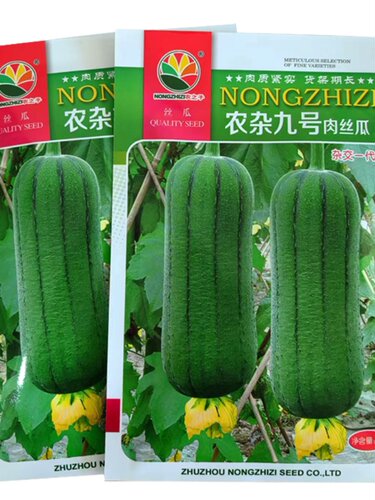 四季春播肉丝瓜蔬菜种子籽孑苗
