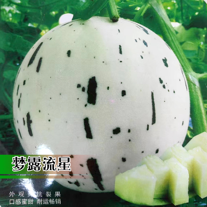 春播蔬菜春季西瓜种孑甜瓜种子孑