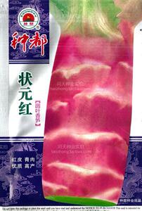 种都莴苣种子 红皮莴苣种子 红皮莴笋 蔬菜种子 花卉蔬果种子寿光