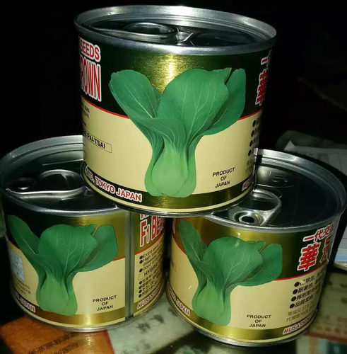 华冠早熟耐热抗病青梗菜油菜白菜