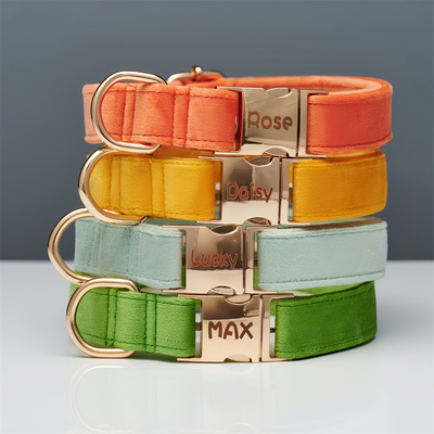 狗狗项圈刻字防丢小型犬外出遛狗狗绳牵引绳脖圈中大型犬柯基颈圈
