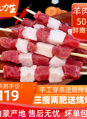 送烧烤料内蒙古锡盟羊肉串新鲜清真冷冻袋装野外户外原切食材50串