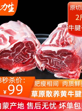 牛腱子肉新鲜产地直发