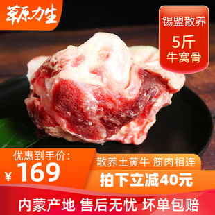 内蒙古带肉牛膝盖骨新鲜牛窝骨筋冷冻优质牛窝骨5斤袋装 草饲黄牛