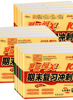 聚能闯关期末复习冲刺卷100分
