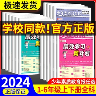 冀教版 高效学习周计划少年素质教育报一二三四五六年级上册下册语文数学英语全套人教版 苏教版 北师大小学教材同步单元 测试卷新全优