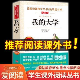 爱阅读名著课程化丛书青少年初中小学生四五六七八九年级上下册课外阅读物故事书籍快乐读书吧正版 我 高尔基三部曲 大学