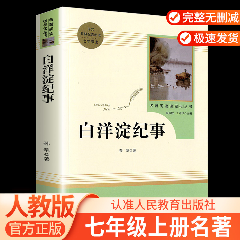 青少年初中军事小说白洋淀纪事