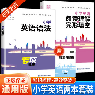 小学英语阅读理解与完形填空 小学生三年级四年级五年级六年级上册下册教材同步专项训练书知识大全练习题辅导资料 小学英语语法