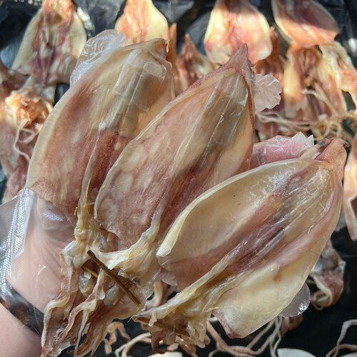 海鲜干货 烧烤鱿鱼水产干货 北海钓鱿鱼干 滋补养生煲汤炒菜食材