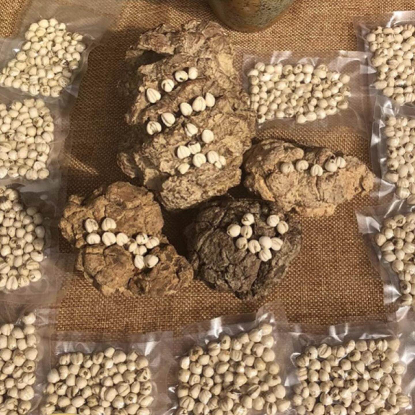 煲汤料 四川野的松贝 正宗川贝母珍珠尖贝中药材川贝母粉送虎奶片