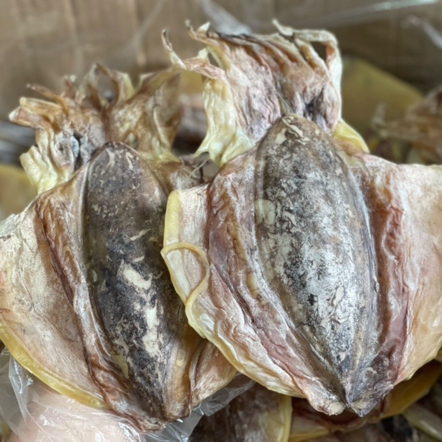 大号墨鱼干 海鱼干货 乌贼干生晒淡晒 滋补大号目鱼干 煲汤海产品