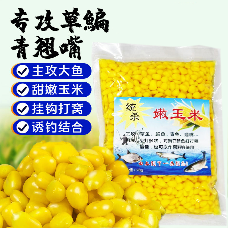 炮竿嫩玉米钻鱼甜嫩玉米粒