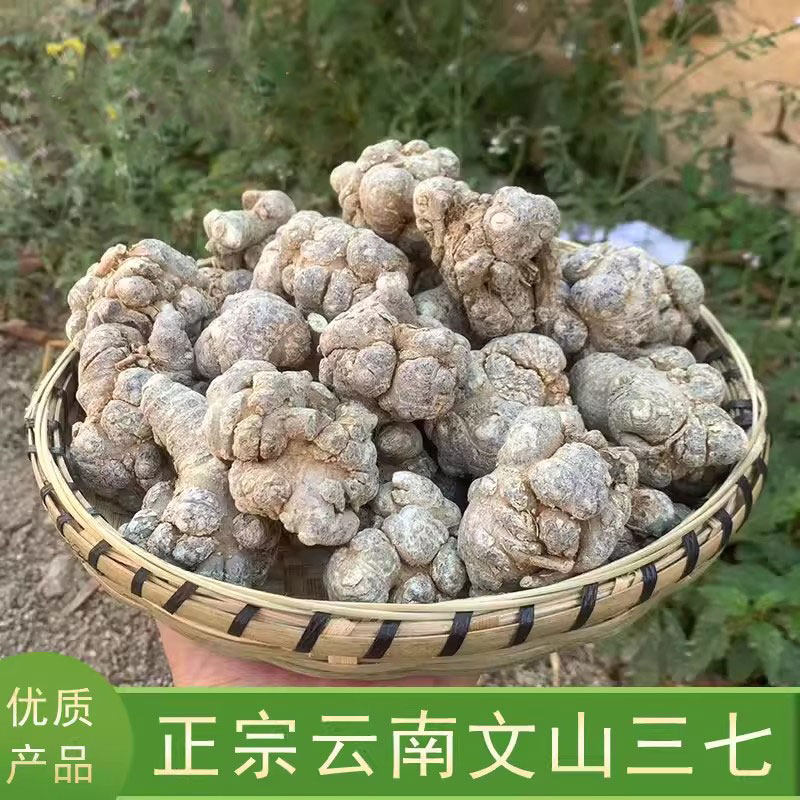 无剪口滑头云南文山农家三七  35头/10头