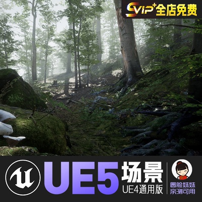 UE4虚幻5_热带雨林迷雾森林植被草地风景cg游戏场景资源