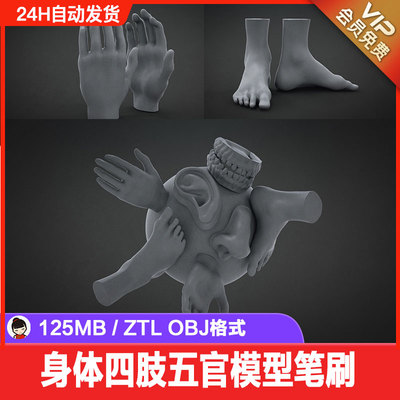 Zbrush身体四肢五官模型笔刷