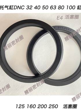 DNC 密封圈E4活塞圈32/40/50/63/80/100/125/160/180/200/250/320