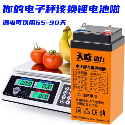 4V电子秤锂电池6V儿童玩具童车