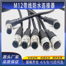 M12连接器防水航空插头带线4芯5芯8芯12芯公母头注塑传感器连接线