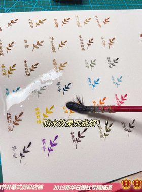 30色钢笔淡彩防水墨水
