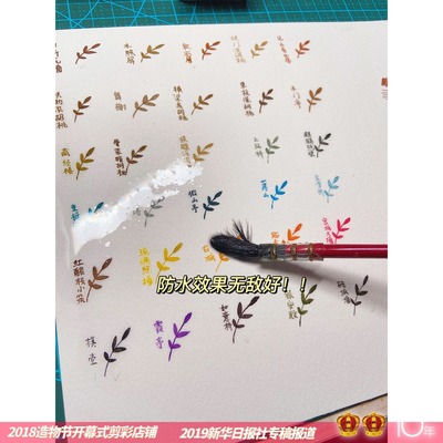 30色钢笔淡彩凤凰翎防水