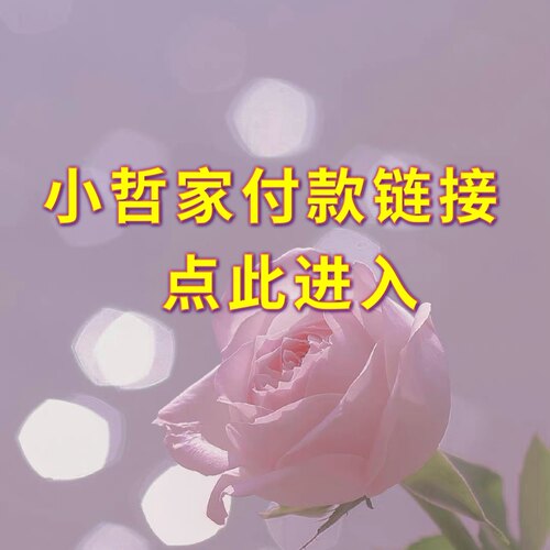 小哲家付款链接(备注留言主播给的编号，按照身高拍）