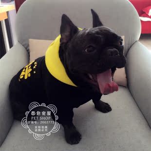 二哈萨摩耶金毛巴哥斗牛大狗小鹿犬法斗吉娃娃博美银狐可卡犬衣服