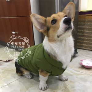 法牛英斗巴哥衣服 斗牛梗柯基犬腊肠犬秋冬装 肥胖狗狗斗牛衣服