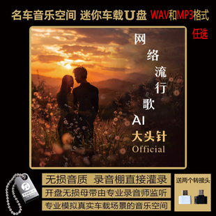 大头针AI网络流行翻唱经典流行歌 谁的眼泪在飞 无损音质车载U盘